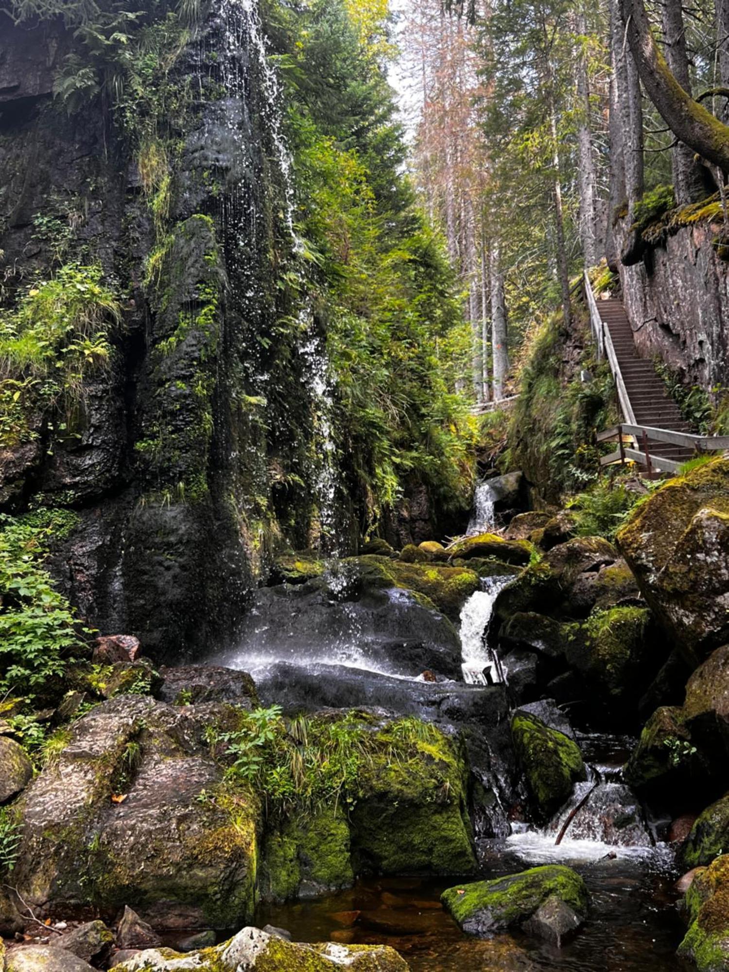 Апартаменти Am Berg Фельдберг Екстер'єр фото